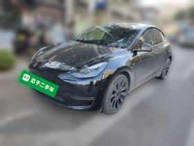 特斯拉 Model Y 2021款 标准续航后驱版