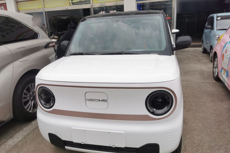 吉利银河 2024款 熊猫mini 200km 耐力熊车身外观6001