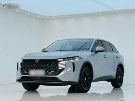 启辰大V 2021款 260T 爱豆版