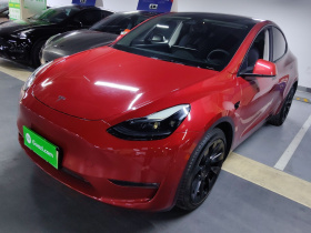 特斯拉 Model Y 2021款 长续航全轮驱动版