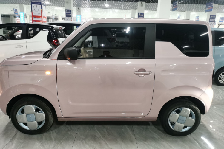 吉利银河 2024款 熊猫mini 200km 耐力熊车身外观4