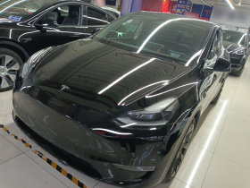 特斯拉 Model Y 2021款 标准续航后驱版