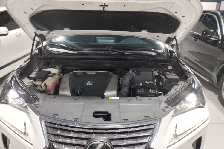 雷克萨斯NX 2017款 200 全驱 锋尚版局部细节24