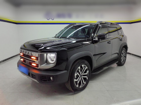 哈弗大狗 2024款 1.5T DCT边牧版