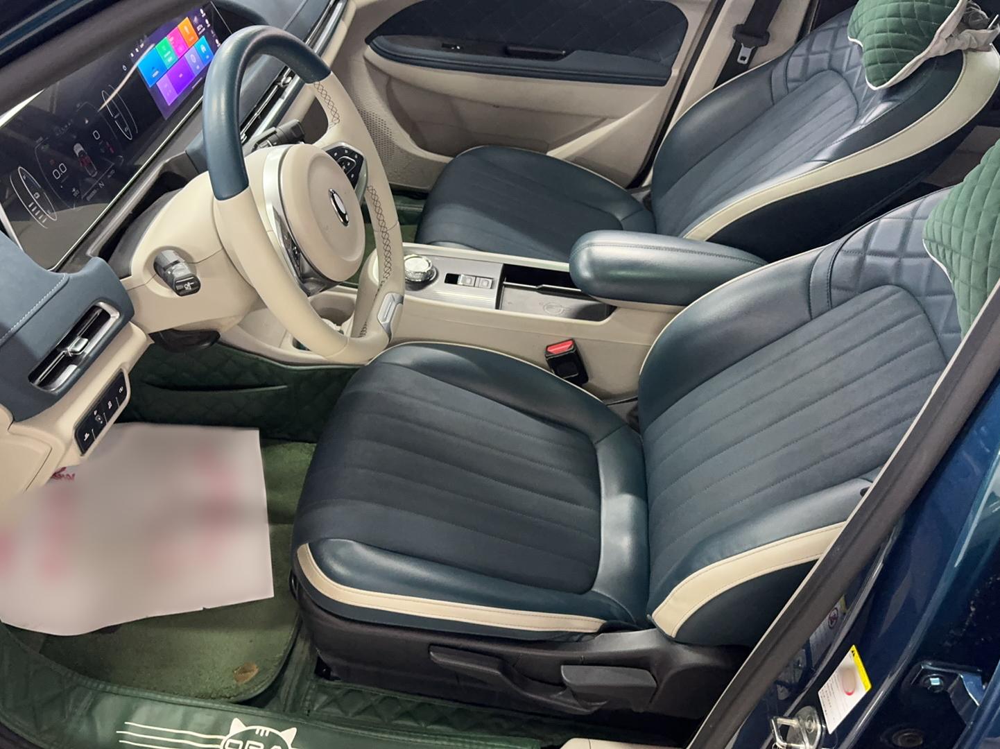 欧拉好猫 2021款 400km标准续航 维纳斯版 三元锂