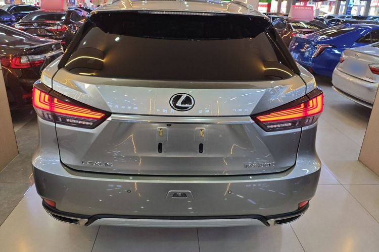 雷克萨斯RX 2020款 改款 300 四驱典雅版车身外观6004