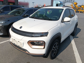 东风纳米 纳米BOX 2022款 追风版 331KM 标准型