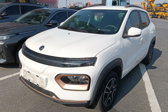 东风纳米 纳米BOX 2022款 追风版 331KM 标准型