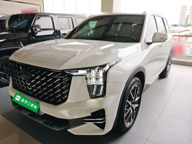 广汽传祺 传祺GS8 2022款 领航系列 2.0TGDI 两驱豪华智联版（七座）