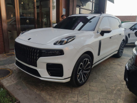 领克09 EM-P 2023款 2.0TD EM-P 远航版PM 六座