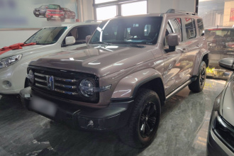 坦克300 2021款 城市版 2.0T 我看型