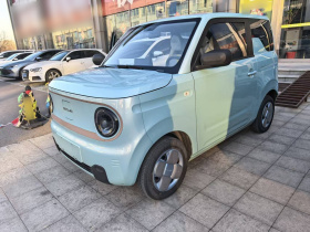 吉利银河 2023款 熊猫mini 200km 耐力熊