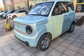 吉利银河 2023款 熊猫mini 200km 耐力熊
