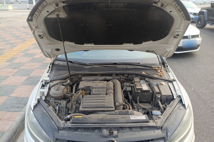 大众 高尔夫 2018款  230TSI 自动豪华型局部细节24