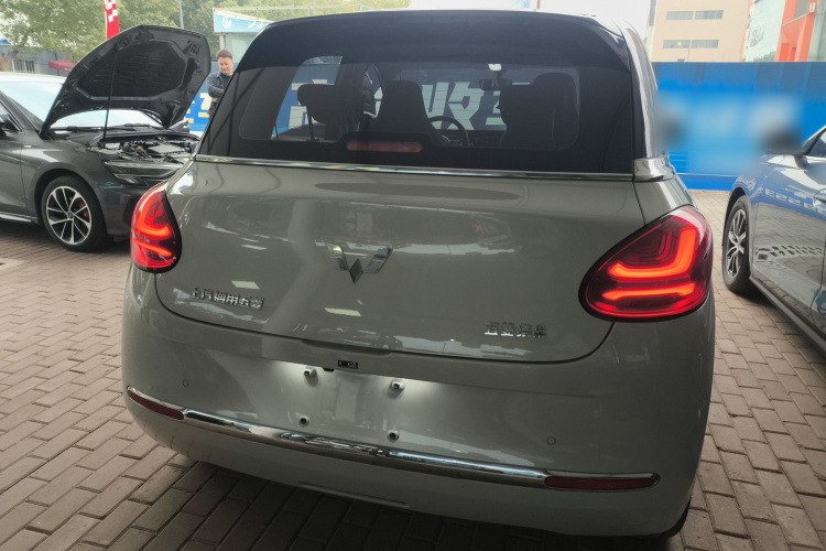 五菱汽车 五菱缤果 2024款 333km 灵犀互联款车身外观6