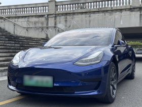 特斯拉 Model 3 2020款 标准续航后驱升级版