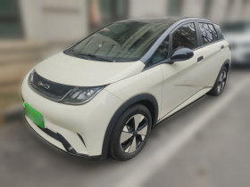 比亚迪 海豚 2023款 420km 时尚版