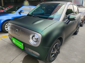 欧拉黑猫 2021款 301km 基础型