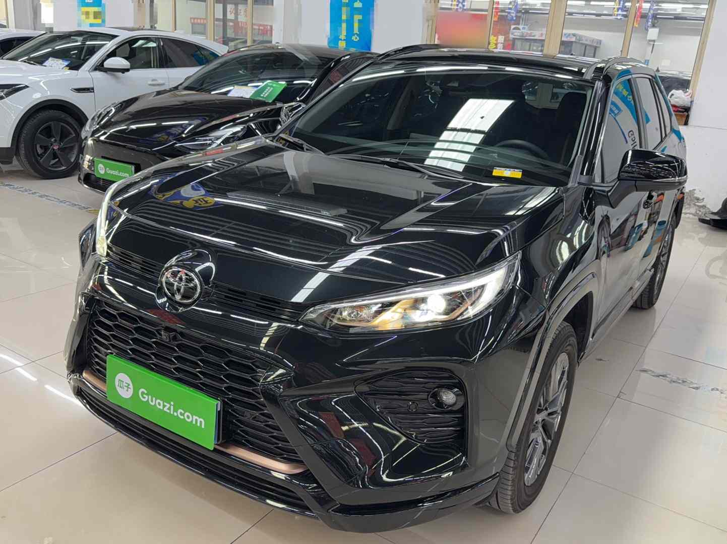 丰田 威兰达 2024款 2.0L CVT两驱豪华PLUS版(1)