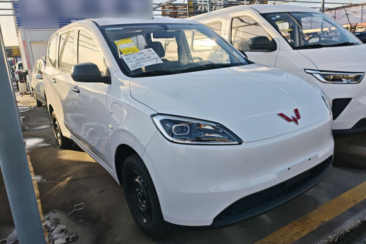 五菱汽车 五菱宏光新能源 2024款 纯电版 300KM 标准型车身外观6002