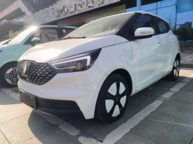 江铃集团新能源 易至EV3 2025款 Plus 330KM舒适型