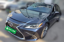 雷克萨斯ES 2020款 300h 卓越版