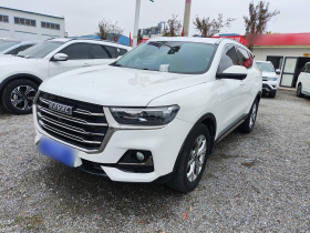 哈弗H6 2021款 国潮版 1.5T 自动冠军版