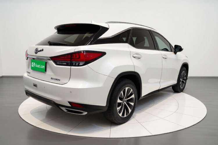 雷克萨斯RX 2020款 300 两驱精英版 国VI车身外观7