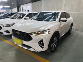 哈弗F7x 2019款 1.5T 两驱极智潮玩版
