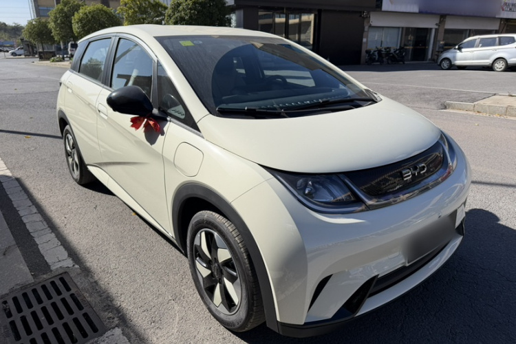 比亚迪 海豚 2025款 420km 自由版车身外观6007