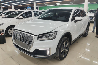奥迪Q2L e-tron 2019款 Q2L e-tron 纯电智酷型