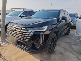 哈弗H6 2024款 1.5T 两驱Pro