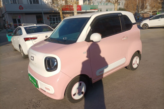 奔腾小马 2024款 170km 元气马