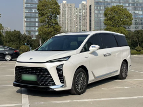 别克GL8新能源 2024款 陆尊 尊享版 7座