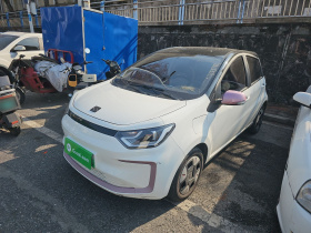 思皓 2022款 花仙子款 四叶草