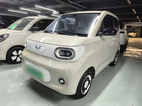 五菱汽车 宏光MINIEV 2024款 第三代 215km 青春版