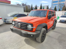 坦克300 2024款 2.0T 挑战者