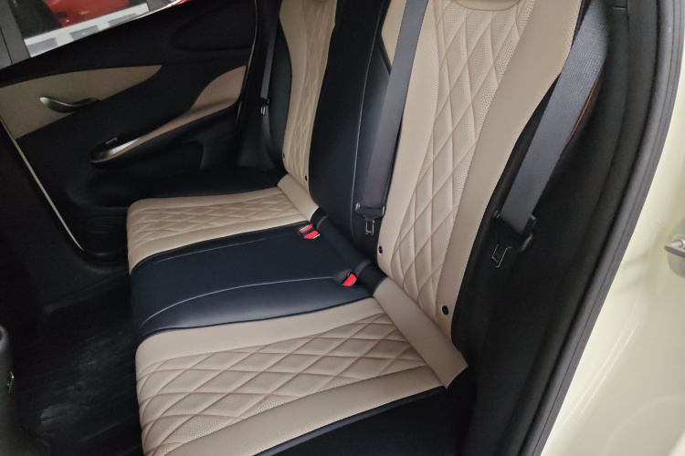 比亚迪 海豚 2021款 405km 时尚版中控内饰7004