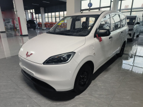 五菱汽车 五菱宏光新能源 2024款 纯电版 300KM 标准型