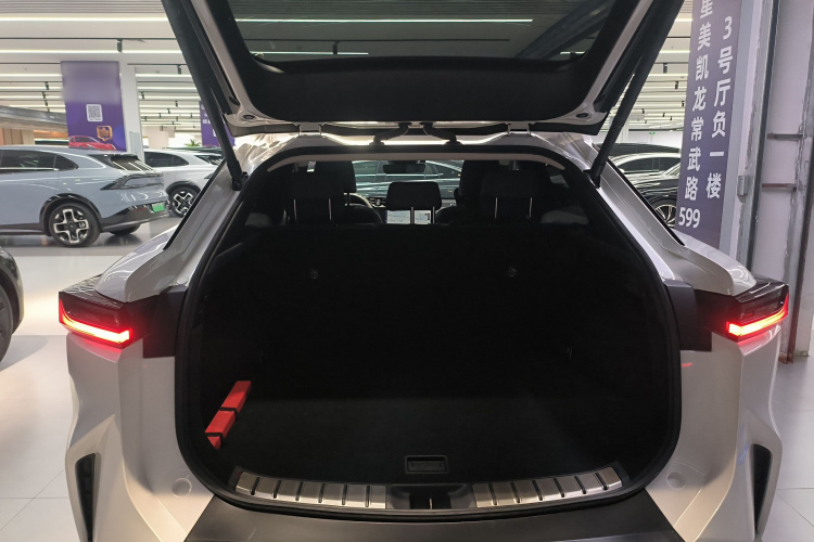 雷克萨斯RZ 2023款 450e 四驱纵享版局部细节23