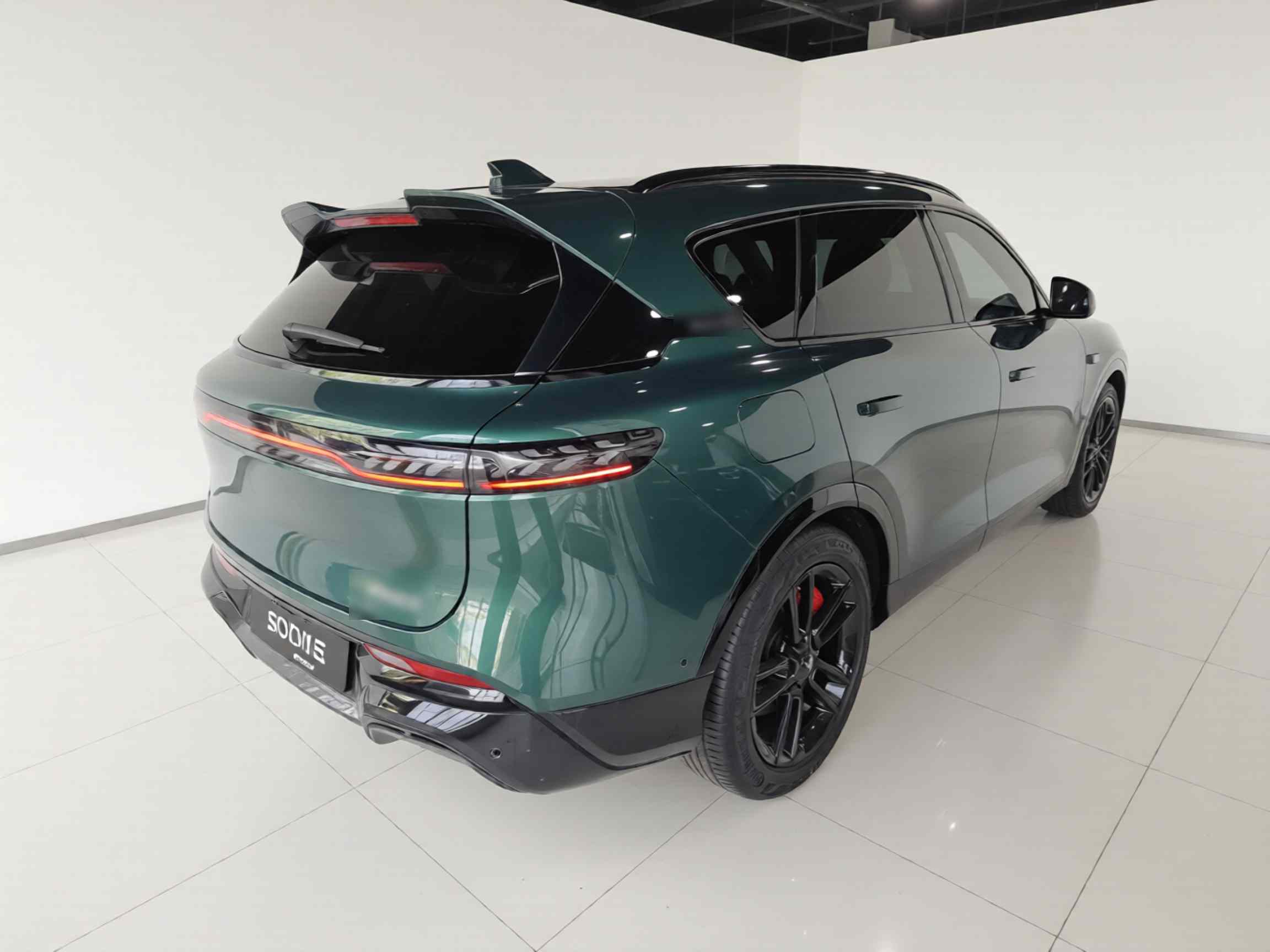 岚图汽车 岚图FREE 2025款 318 318km 后驱环游版(4)