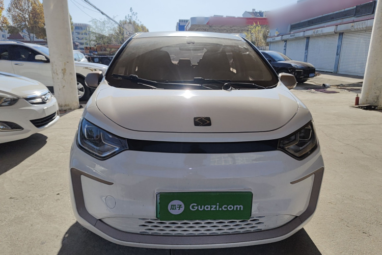 思皓 2022款 花仙子款 四叶草车身外观6001