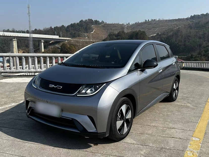 2023款 海豚 420km 时尚版图片