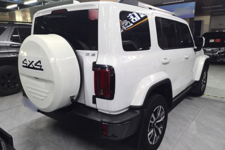 坦克300 2021款 城市版 2.0T 很有型车身外观7