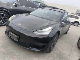 特斯拉 Model 3(进口) 2019款 长续航后驱版
