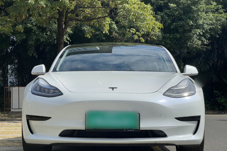 特斯拉 Model 3 2020款 改款 标准续航后驱升级版车身外观6005