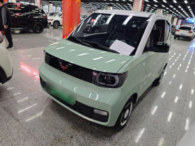 五菱汽车 宏光MINIEV 2021款 马卡龙臻享款 磷酸铁锂