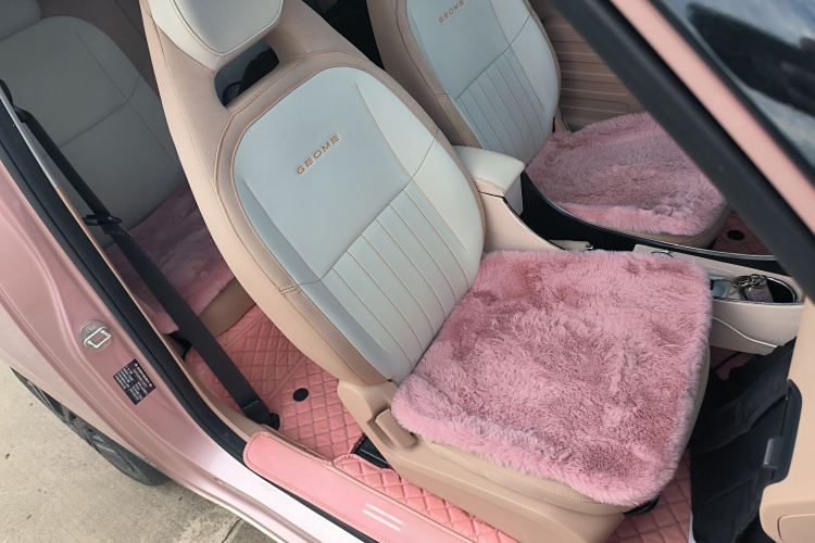 吉利银河 2023款 熊猫mini 200km 耐力熊局部细节41