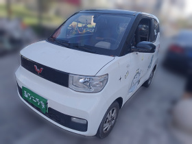 五菱汽车 宏光MINIEV 2020款 自在款 磷酸铁锂
