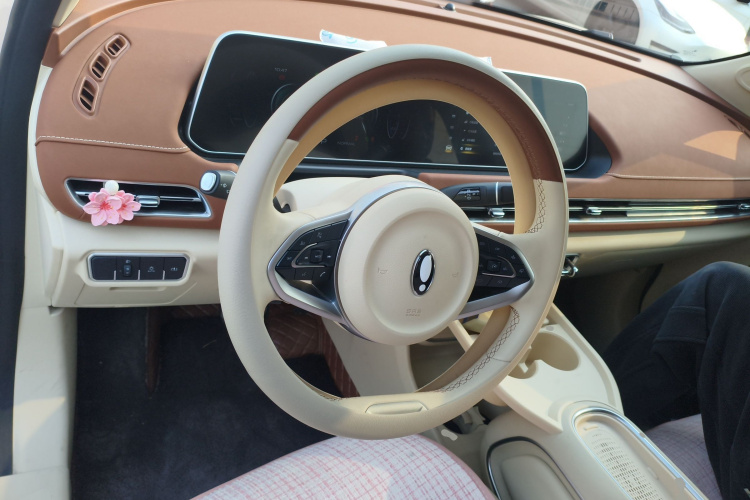 欧拉好猫 2023款 401km标准续航 豪华型 磷酸铁锂中控内饰13